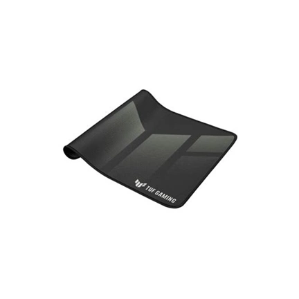 ASUS TUF Gaming P1