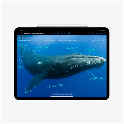 Apple 11-inch iPad Pro (M4) WiFi 2TB with Standard glass - Ezüst