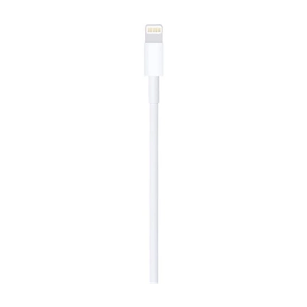 Apple Lightning to USB 1m