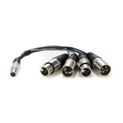 Atomos Lemo to XLR Breakout cable