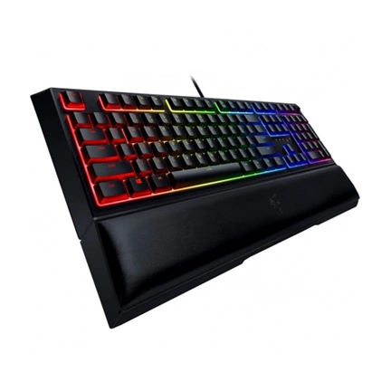 BILL Razer Ornata V2 US