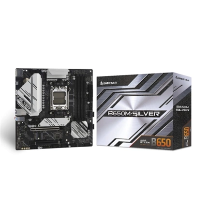 BIOSTAR B650M-Silver
