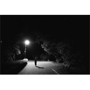 Budachrome MONO (ISO 200 • B&W • 36 EXP)