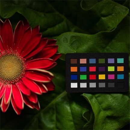 Calibrite ColorChecker Classic Nano CCC-NANO színreferencia-kártya