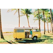 CINESTILL 50Daylight színes negatív film 135/36