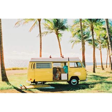 CINESTILL 50Daylight színes negatív film 135/36