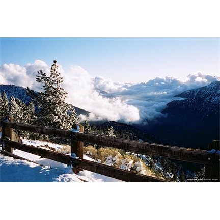 CINESTILL 50Daylight színes negatív film 135/36