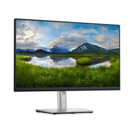 DELL P2422H