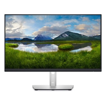 DELL P2422H