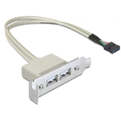 DELOCK Slot bracket USB 2.0 low profile 2 port