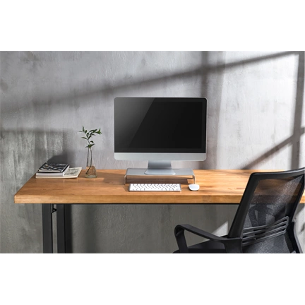 DIGITUS DA-90369 Vékony alumínium ezüst monitor állvány