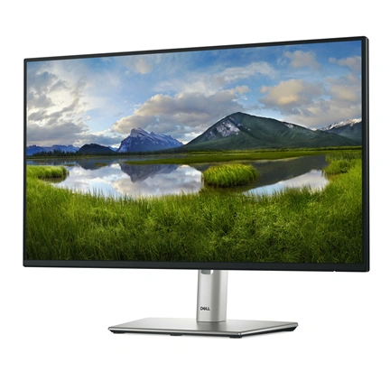 Dell P2425HE - LED-Monitor - Full HD (1080p) - 61 cm (24")