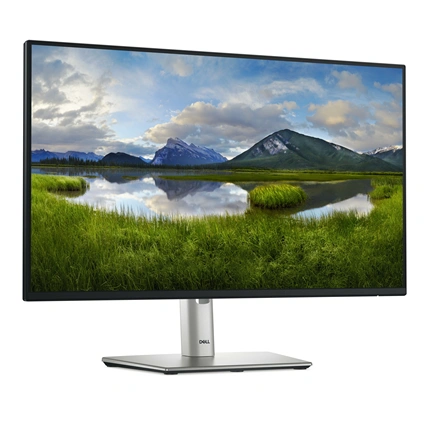 Dell P2425HE - LED-Monitor - Full HD (1080p) - 61 cm (24")