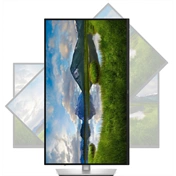 Dell Pro 27 Plus P2725D monitor - 23,8" QHD IPS 100Hz, pivot állvány