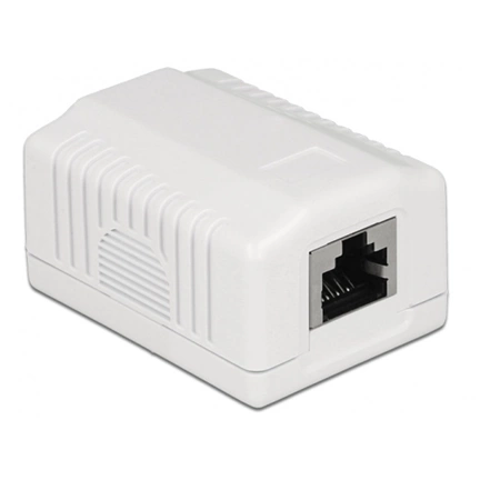 Delock Hálózati fali aljzat, 1 port, Cat.6A LSA  (86196)