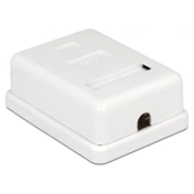 Delock Modular Wall Outlet 1 Port Cat.6