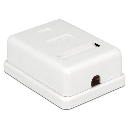 Delock Modular Wall Outlet 1 Port Cat.6
