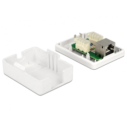 Delock Modular Wall Outlet 1 Port Cat.6