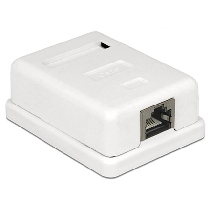 Delock Modular Wall Outlet 1 Port Cat.6