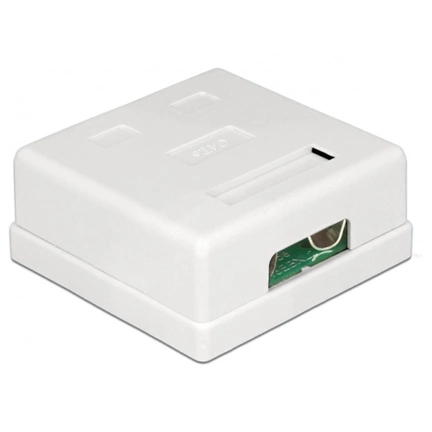 Delock Modular Wall Outlet 2 Port Cat.6