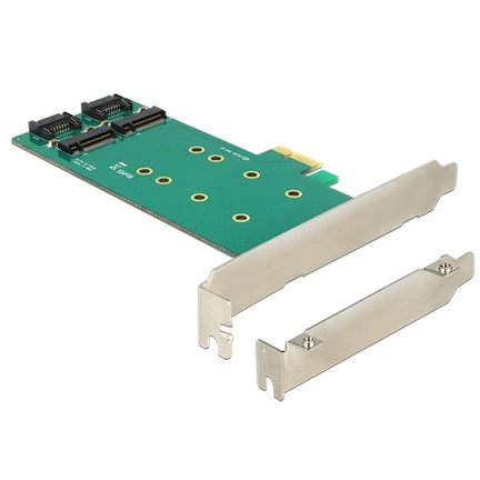 Delock PCI Express Card > 2 x internal M.2 Key B 110 mm - Low Profile Form Factor