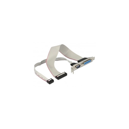 Delock Slot Bracket > 1 x Serial, 1 x Parallel