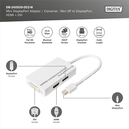Digitus Mini DisplayPort Adapter/Converter Mini DP to DisplayPort HDMI+DVI 0,2m White