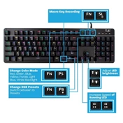 EWENT Play Mechanical Gaming Keyboard with RGB illumination US