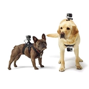 GOPRO Fetch (Dog harness)