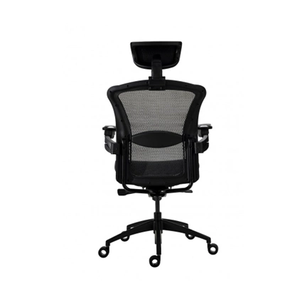 Tesoro Alphaeon E5 Mesh Ergonómikus irodai szék Tesoro Alphaeon E5 Mesh Ergonómikus irodai szék