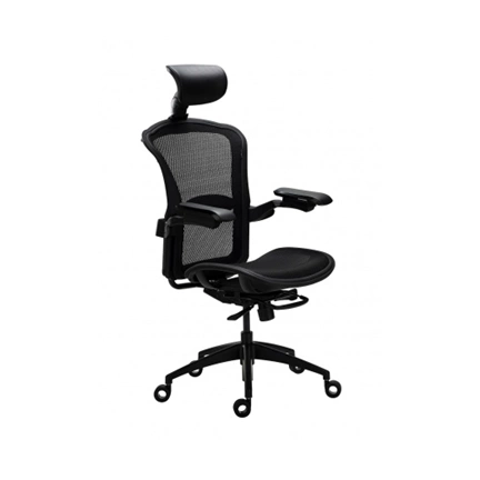 Tesoro Alphaeon E5 Mesh Ergonómikus irodai szék Tesoro Alphaeon E5 Mesh Ergonómikus irodai szék