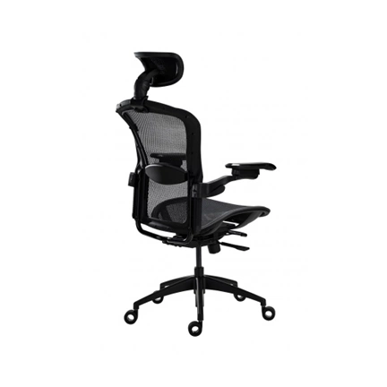Tesoro Alphaeon E5 Mesh Ergonómikus irodai szék Tesoro Alphaeon E5 Mesh Ergonómikus irodai szék