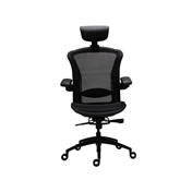 Tesoro Alphaeon E5 Mesh Ergonómikus irodai szék Tesoro Alphaeon E5 Mesh Ergonómikus irodai szék