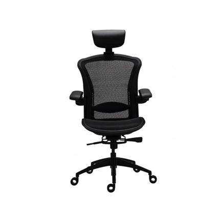 Tesoro Alphaeon E5 Mesh Ergonómikus irodai szék Tesoro Alphaeon E5 Mesh Ergonómikus irodai szék