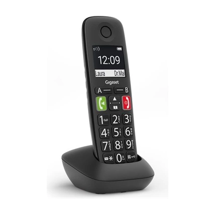 Gigaset E290HX Black
