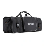 Godox MS200V F Dual Studio Flash Kit