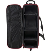 Godox SL100D LED Video Light Two Light Kit