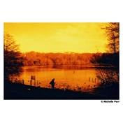 HARMAN RED ISO 125 135-36 EXP