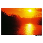 HARMAN RED ISO 125 135-36 EXP