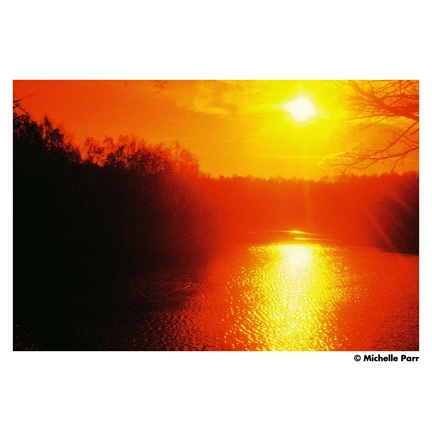 HARMAN RED ISO 125 135-36 EXP