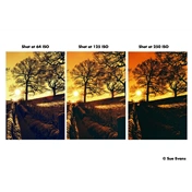 HARMAN RED ISO 125 135-36 EXP