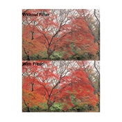 HOYA Red Enhancer RA54 82mm