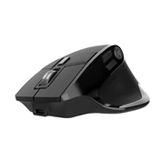 JLAB Epic Mouse - Black JLAB Epic Mouse - Black