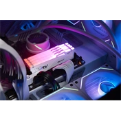 KINGSTON Fury Beast RGB DDR5 6400MHz CL32 32GB Kit2 AMD Expo White