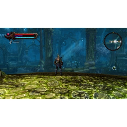 Kingdoms of Amalur: Re-Reckoning - PC