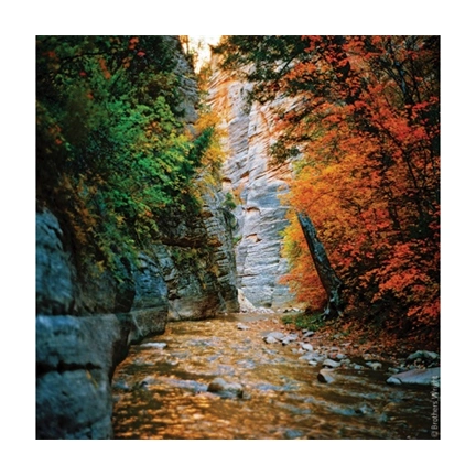 KODAK EKTAR 100 COLOR 135-36