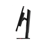 LENOVO ThinkVision T24mv-30
