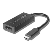 LENOVO USB-C - Displayport Adapter