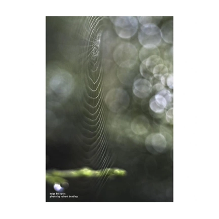 LENSBABY Composer Pro II with Edge 80 80mm f/2.8 (Canon RF)