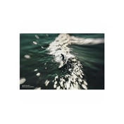 LENSBABY Optic Swap Founders Collection Micro 4/3
